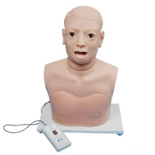 Monitor eletrônico de uso clínico Modelo de equipamento de exame de laringe Pharynx